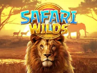 Safari Wilds