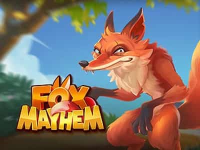 Fox Mayhem